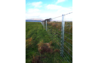 mise en place du grillage galvanisé réhaussé de deux fils barbelés, la ronce arrête les animaux et les intrusions