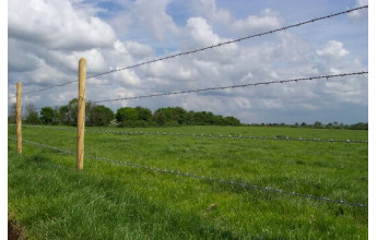 Fil de fer Barbelé Ronce